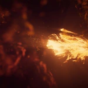 Programme Reconnexion